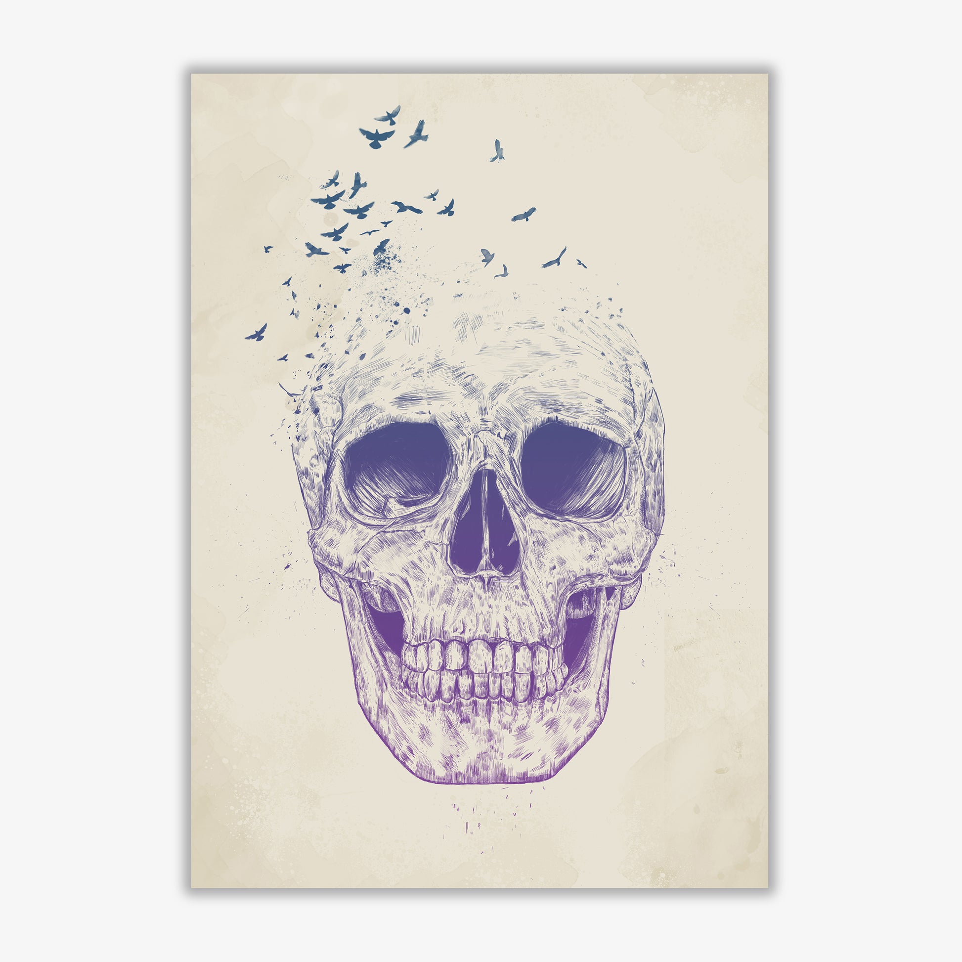 Let Them Fly Skull II Gothic Art Print by Balaz Solti Print Only