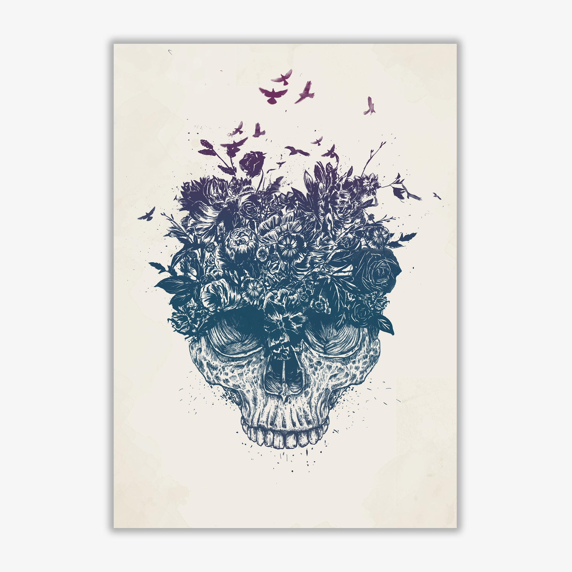 My Head Is A Jungle Skull Art Print by Balaz Solti Print Only