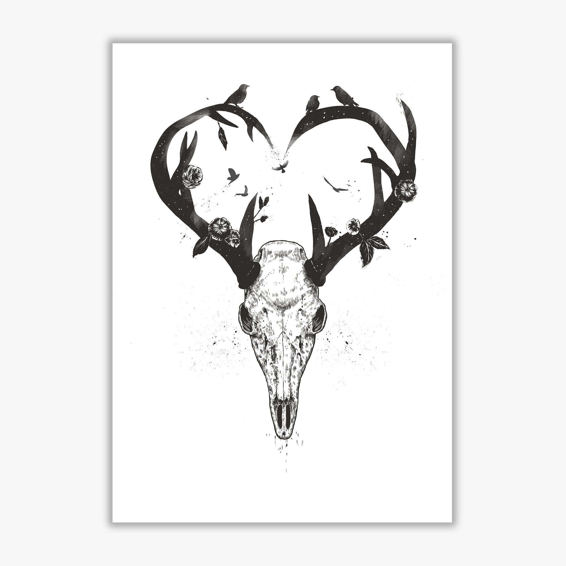 Never-ending Love Deer Skull B&W Animal Art Print by Balaz Solti Print Only