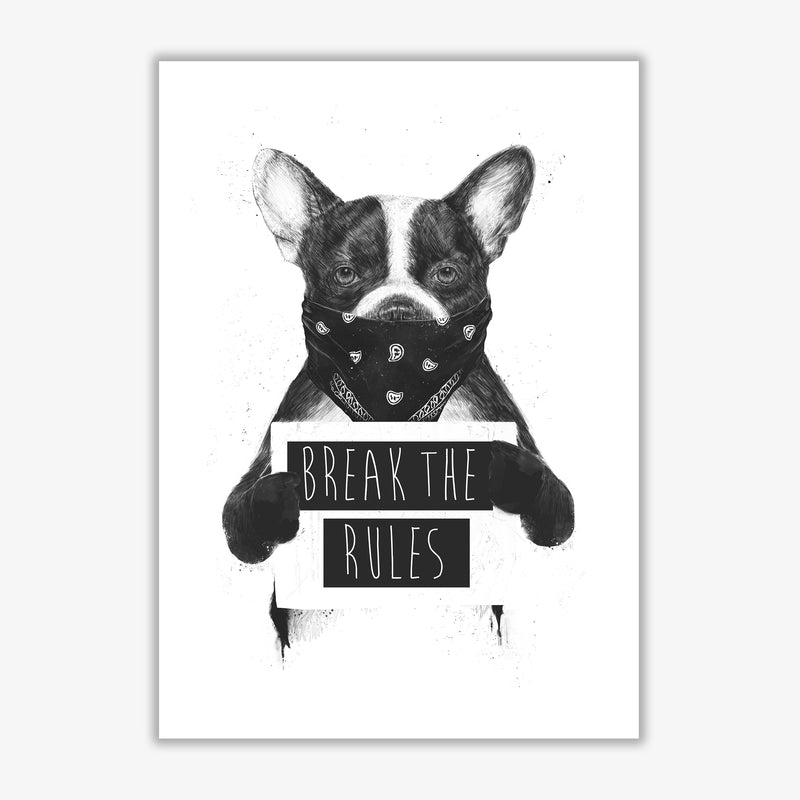 Rebel Bulldog Animal Art Print by Balaz Solti Print Only