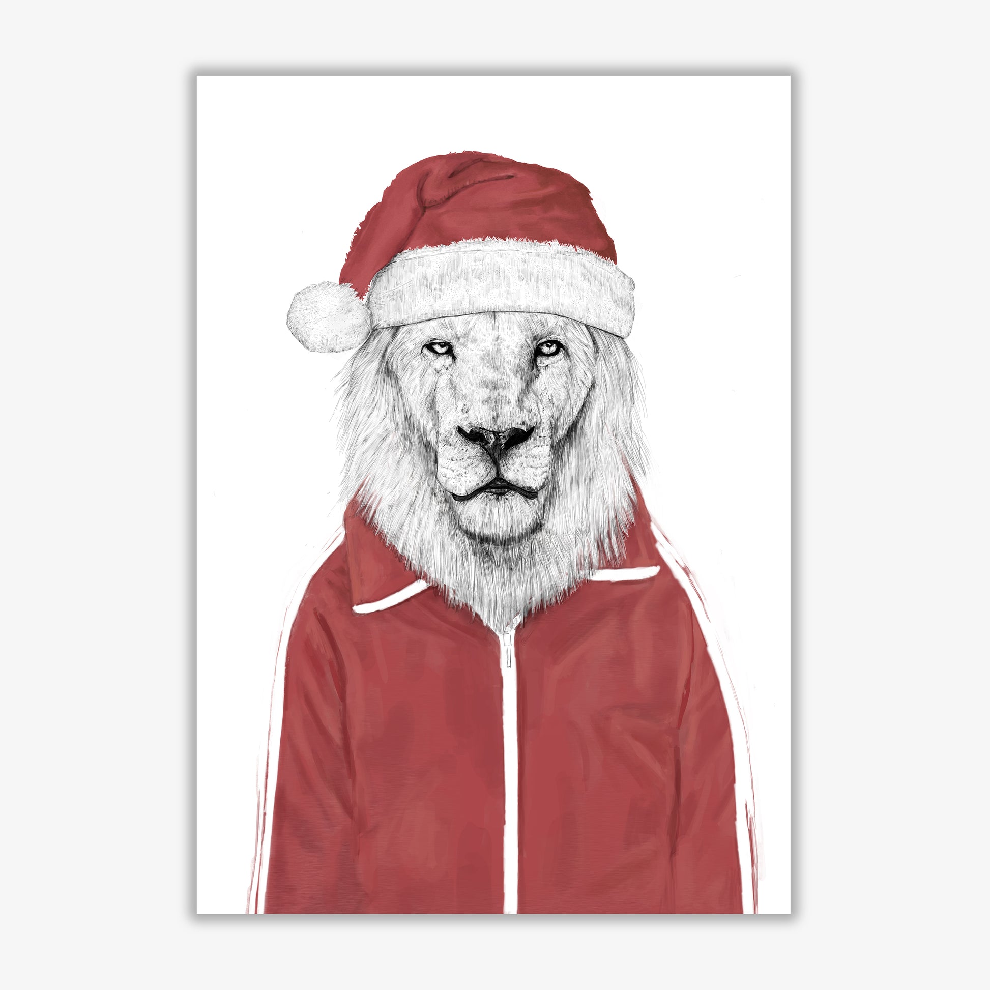 Santa Lion Animal Art Print by Balaz Solti Print Only