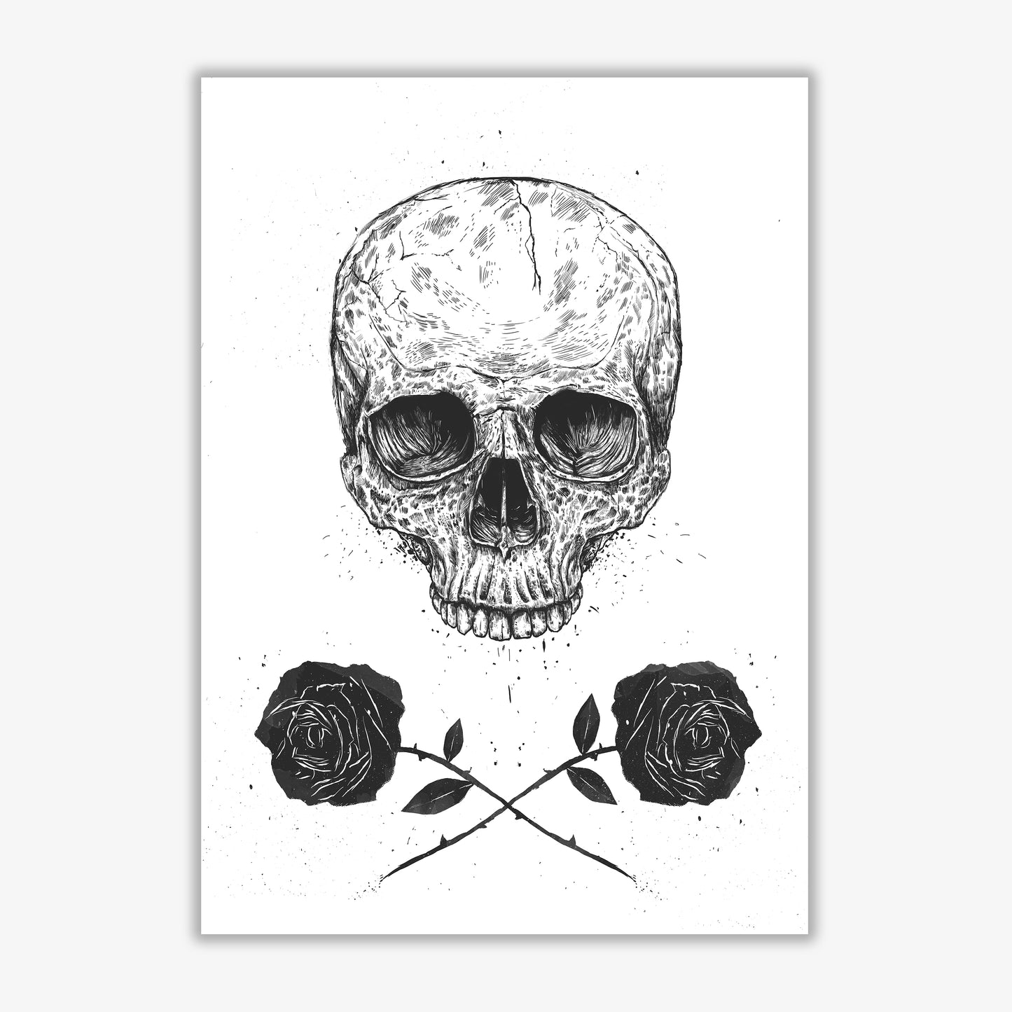 Skull And Roses Gothic Art Print by Balaz Solti Print Only