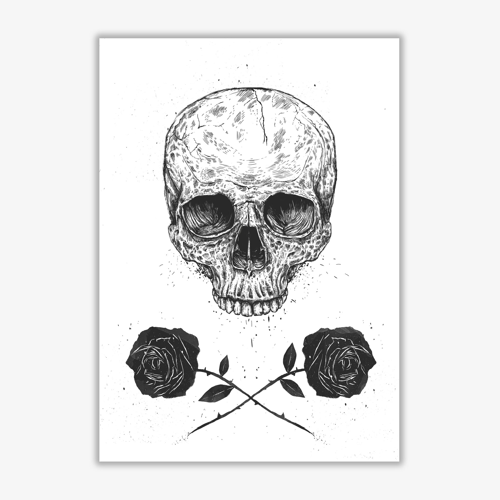 Skull And Roses Gothic Art Print by Balaz Solti Print Only