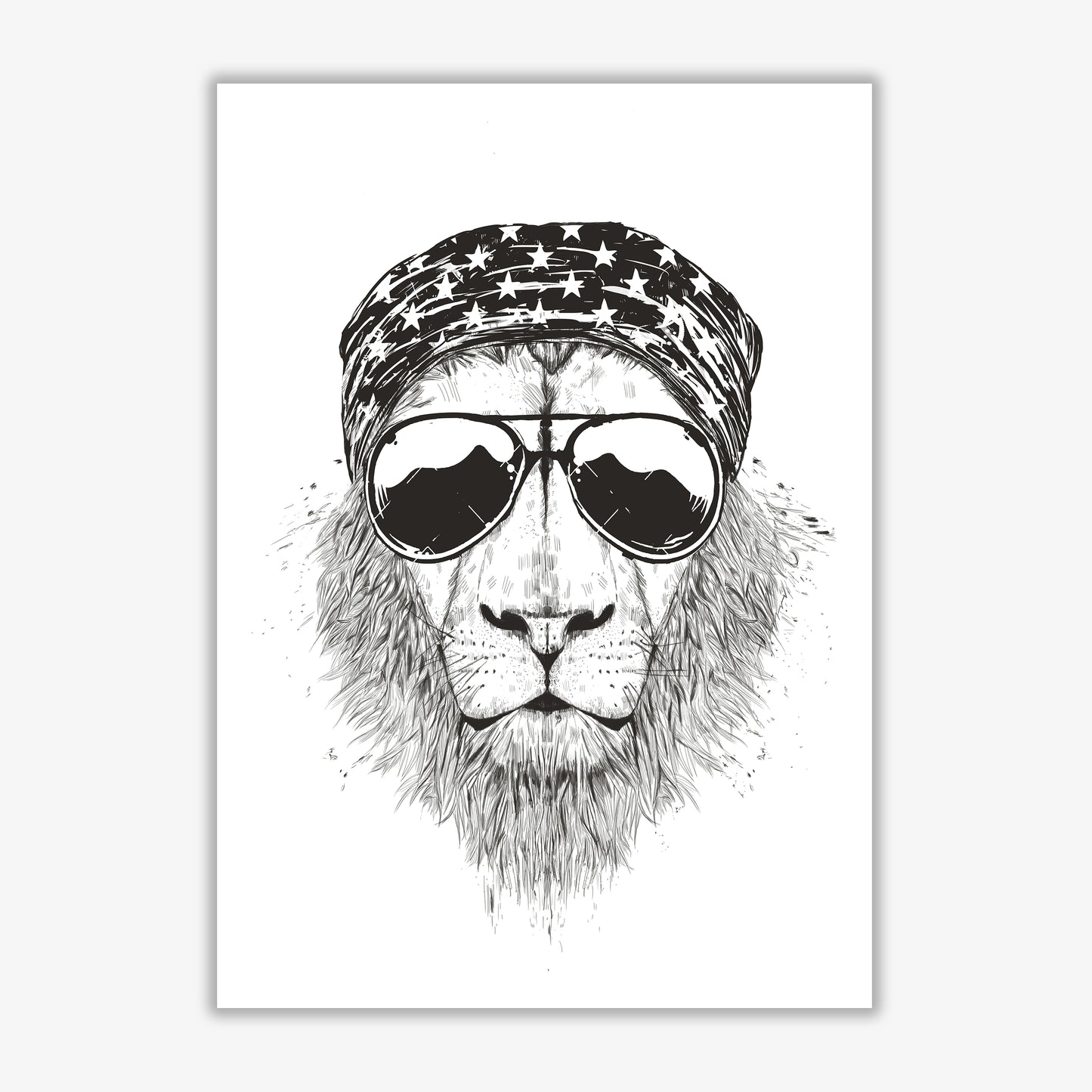 Wild Lion B&W Animal Art Print by Balaz Solti Print Only