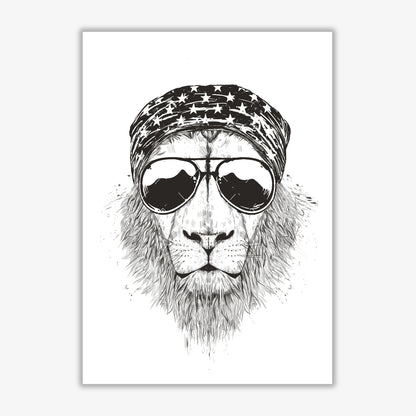 Wild Lion B&W Animal Art Print by Balaz Solti Print Only