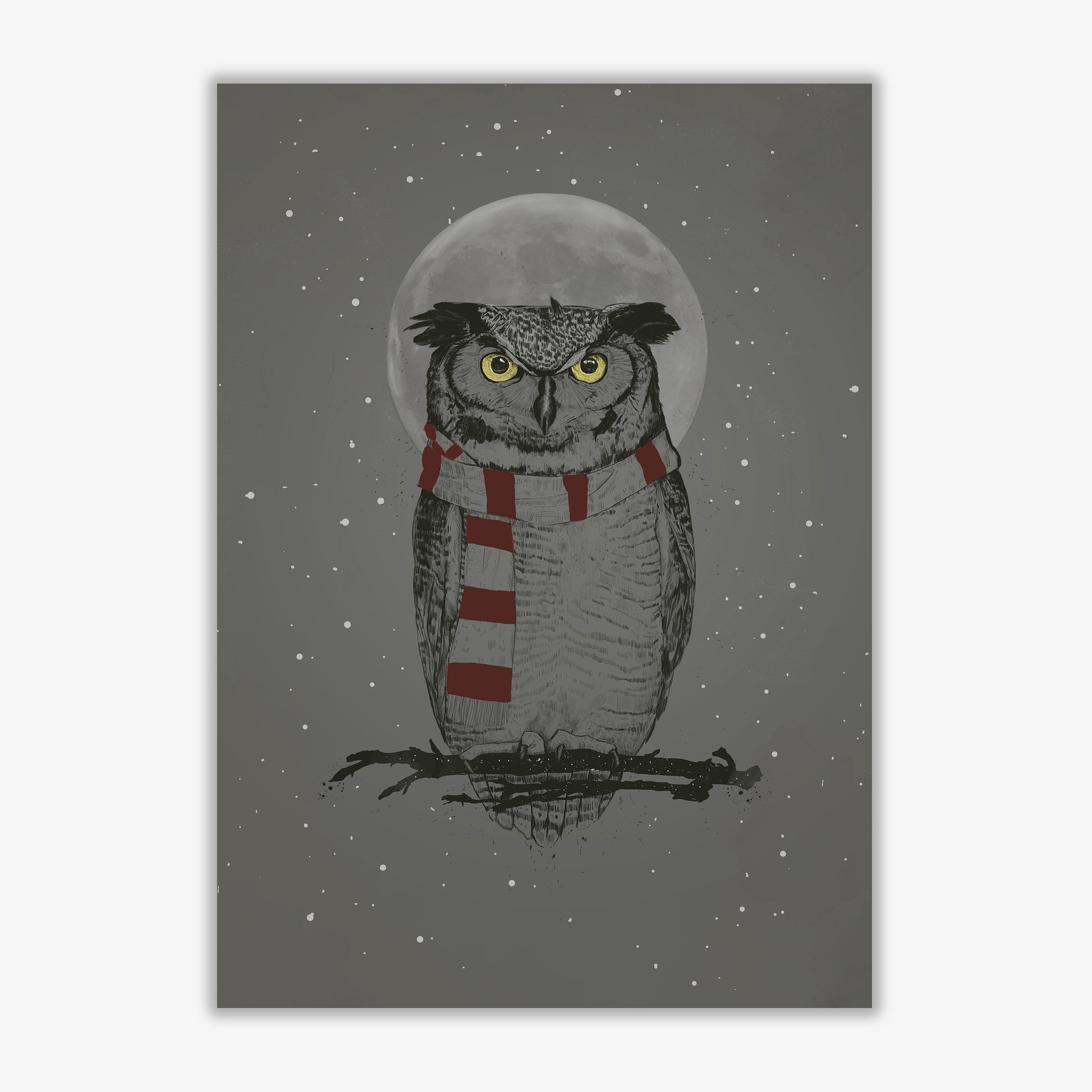 Winter Owl Animal Art Print by Balaz Solti Print Only