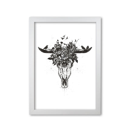 Dead Summer B&W Animal Art Print by Balaz Solti White Grain