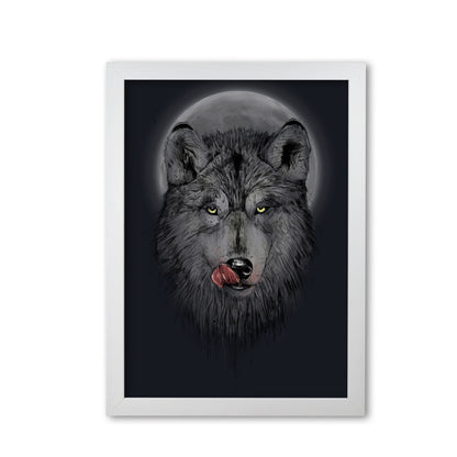 Dinner Time Wolf Night Animal Art Print by Balaz Solti White Grain