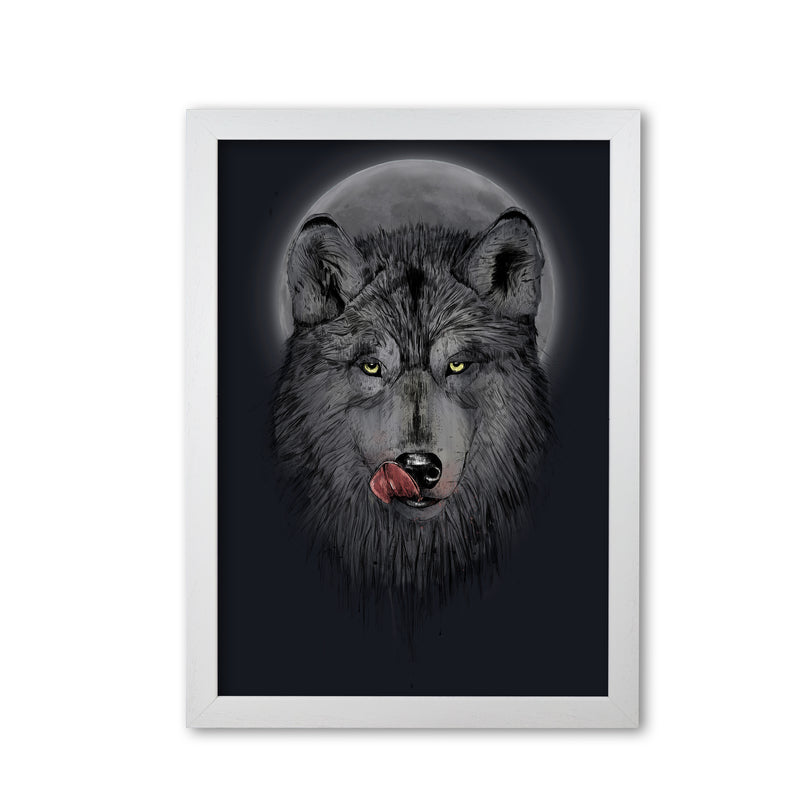 Dinner Time Wolf Night Animal Art Print by Balaz Solti White Grain