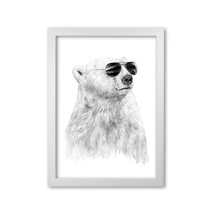 Don't Let The Sun Go Down Bear Animal Art Print by Balaz Solti White Grain