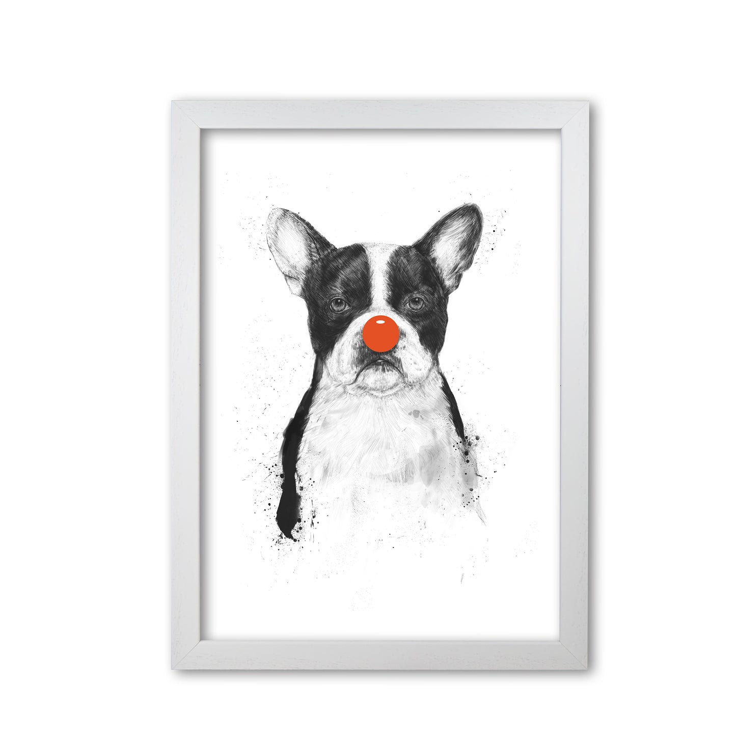 I'm Not Your Clown Bulldog Animal Art Print by Balaz Solti White Grain