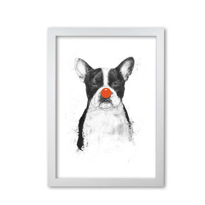 I'm Not Your Clown Bulldog Animal Art Print by Balaz Solti White Grain