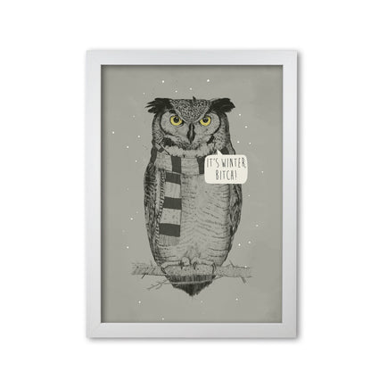 It's Winter B*tch Animal Art Print by Balaz Solti White Grain