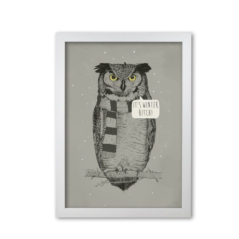 It's Winter B*tch Animal Art Print by Balaz Solti White Grain