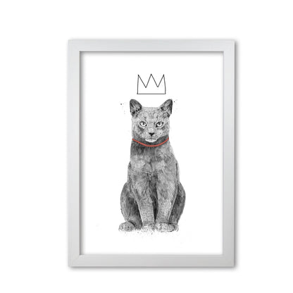 King Of Everything Animal Art Print by Balaz Solti White Grain