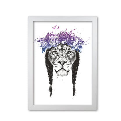 King Of Lions Animal Art Print by Balaz Solti White Grain