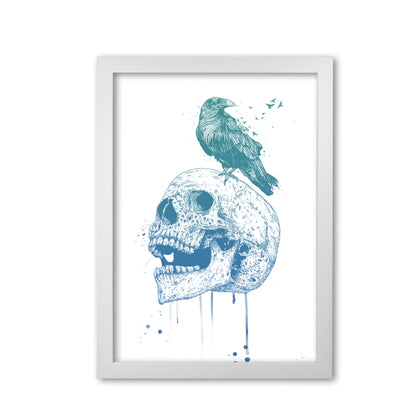 Skull & Raven Colour Animal Art Print by Balaz Solti White Grain