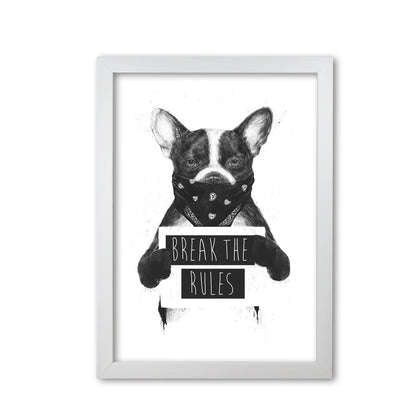 Rebel Bulldog Animal Art Print by Balaz Solti White Grain