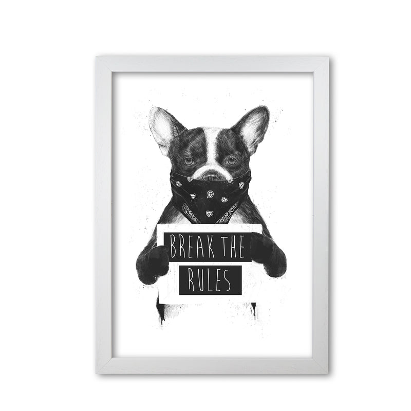 Rebel Bulldog Animal Art Print by Balaz Solti White Grain