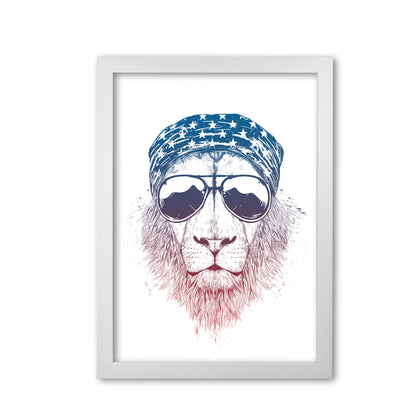 Wild Lion Colour Animal Art Print by Balaz Solti White Grain
