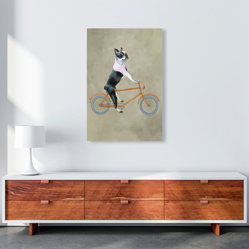 Boston Terrier On Bicycle Art Print by Coco Deparis A1 Canvas