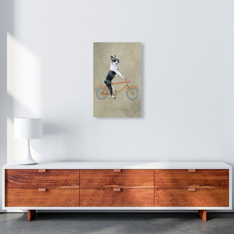 Boston Terrier On Bicycle Art Print by Coco Deparis A3 Canvas
