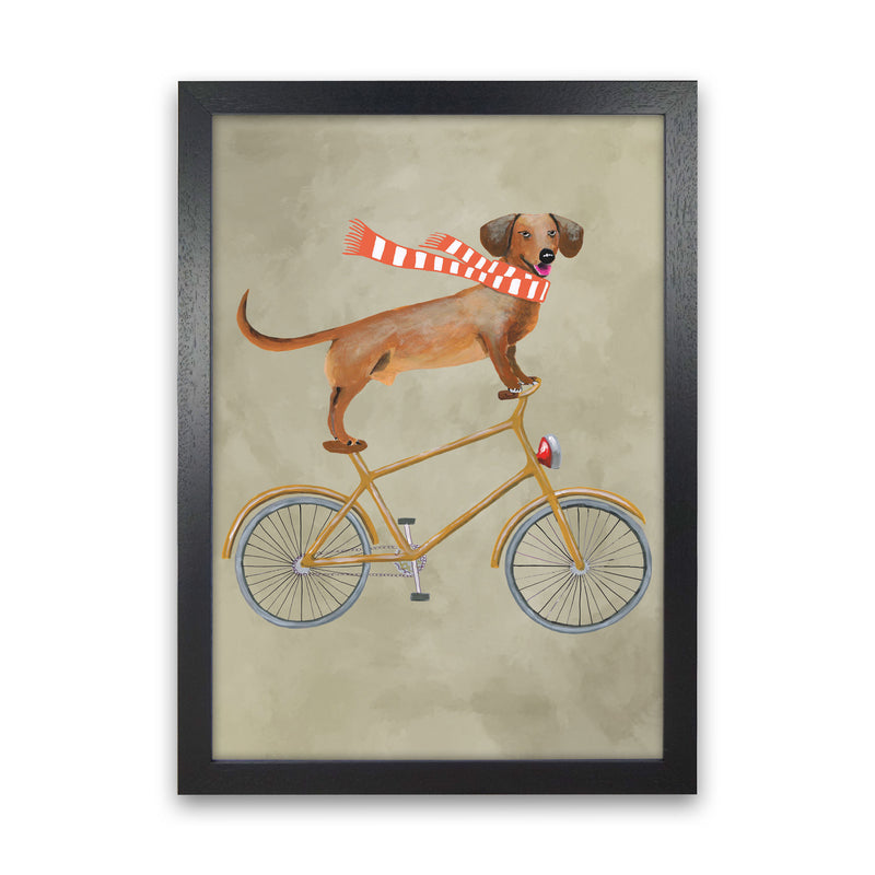 Daschund On Bicycle In The Winter Art Print by Coco Deparis Black Grain