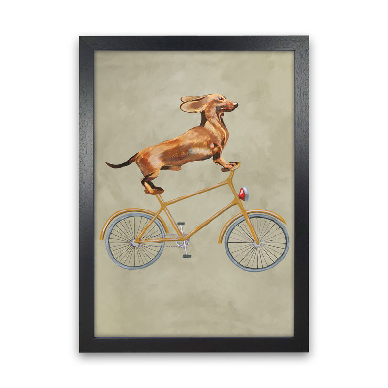 Daschund On Bicycle Art Print by Coco Deparis Black Grain