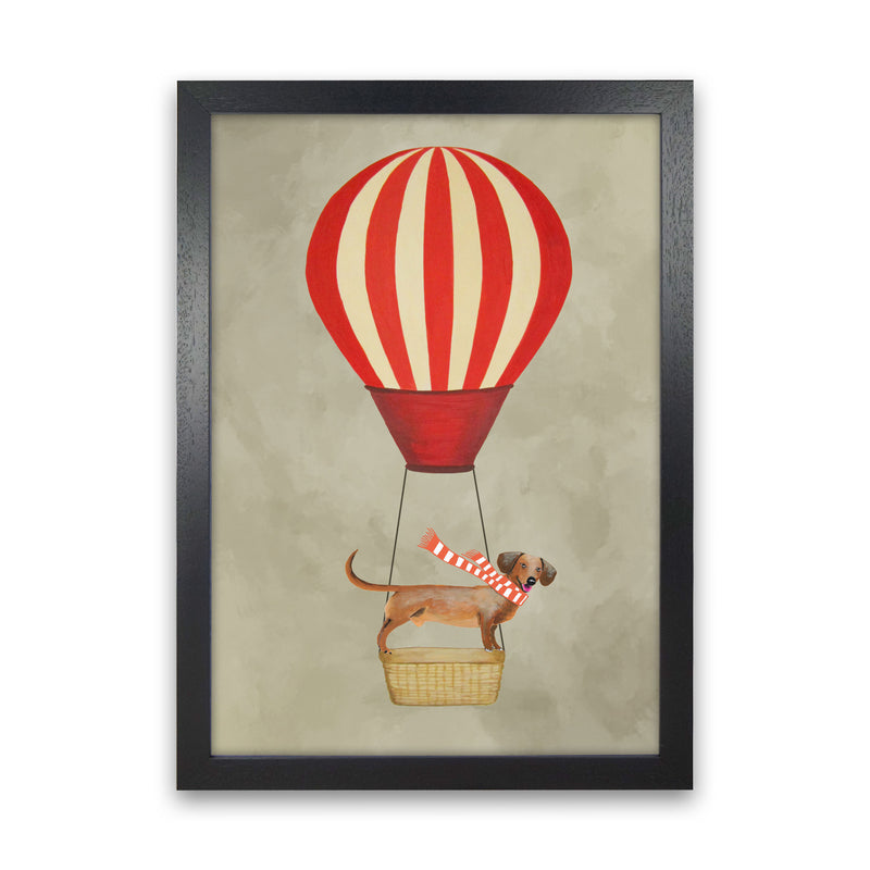 Daschund With Airballoon Art Print by Coco Deparis Black Grain