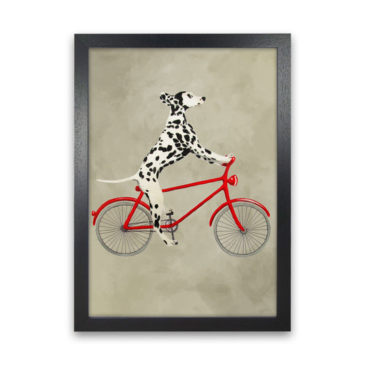 Dalmatian On Bicycle Art Print by Coco Deparis Black Grain