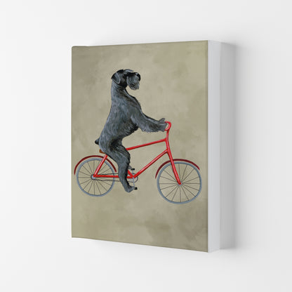 Schnauzer On Bicycle Art Print by Coco Deparis Canvas