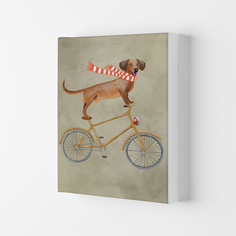 Daschund On Bicycle In The Winter Art Print by Coco Deparis Canvas