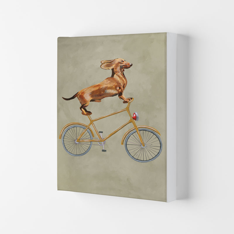 Daschund On Bicycle Art Print by Coco Deparis Canvas