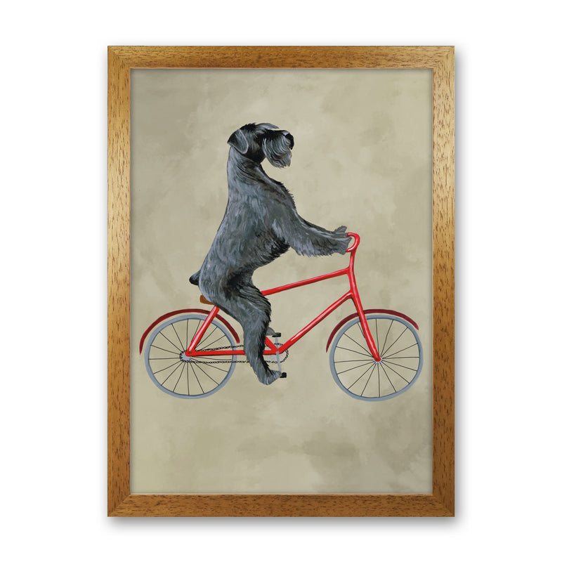 Schnauzer On Bicycle Art Print by Coco Deparis Oak Grain