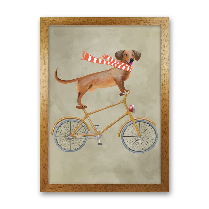 Daschund On Bicycle In The Winter Art Print by Coco Deparis Oak Grain