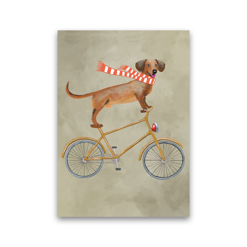 Daschund On Bicycle In The Winter Art Print by Coco Deparis Print Only