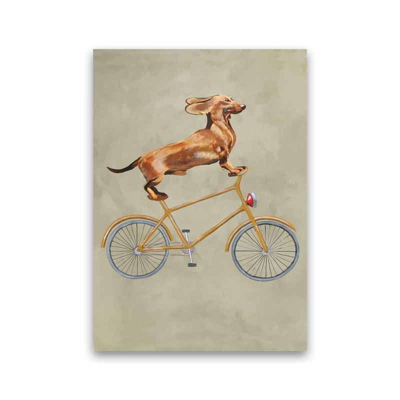 Daschund On Bicycle Art Print by Coco Deparis Print Only