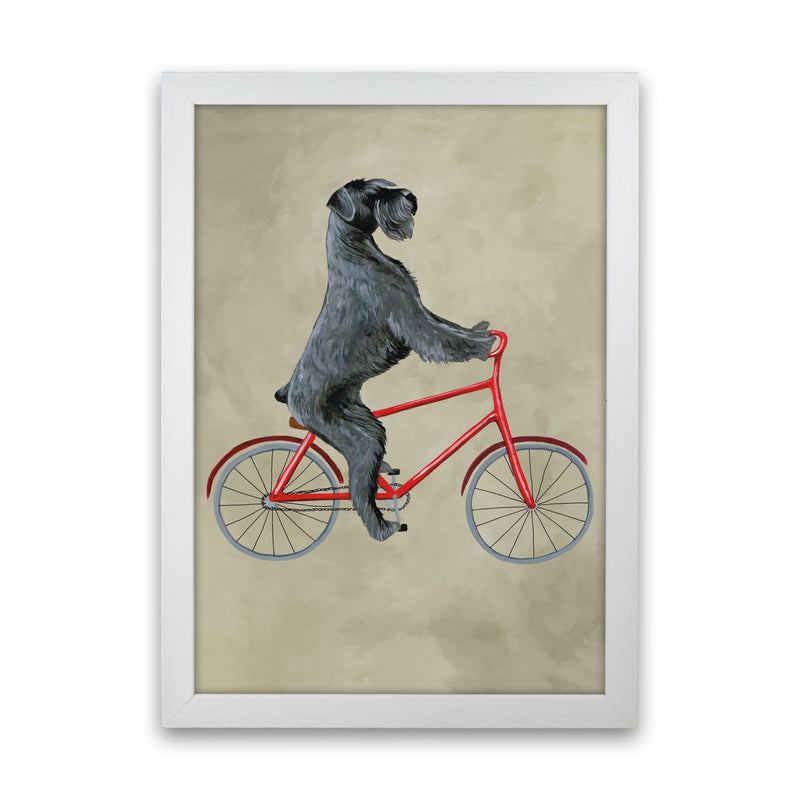 Schnauzer On Bicycle Art Print by Coco Deparis White Grain