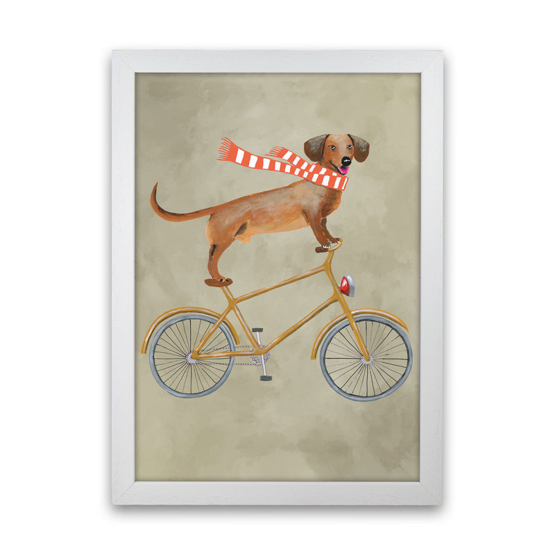 Daschund On Bicycle In The Winter Art Print by Coco Deparis White Grain