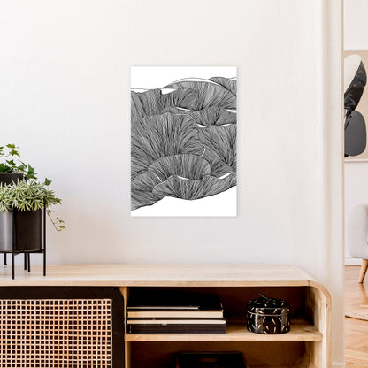 Oyster Mushrooms BW Art Print by Carissa Tanton A2 Black Frame