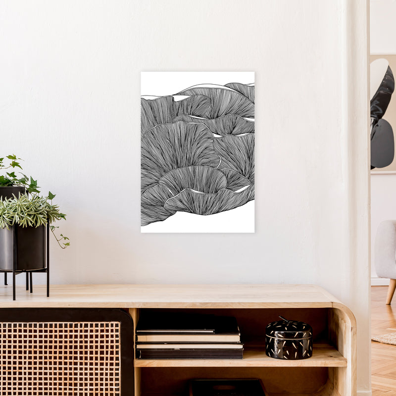 Oyster Mushrooms BW Art Print by Carissa Tanton A2 Black Frame