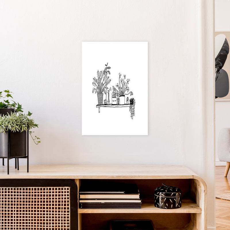 Plant Shelfie Art Print by Carissa Tanton A2 Black Frame