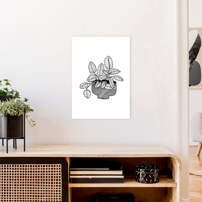 Peppermint Art Print by Carissa Tanton A2 Black Frame