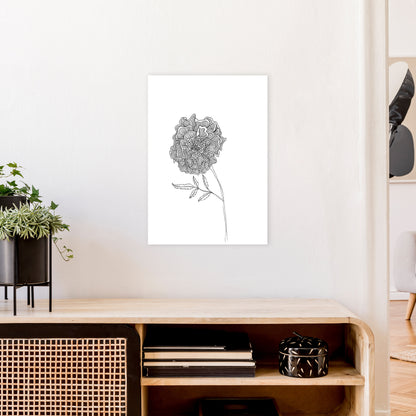Marigold Art Print by Carissa Tanton A2 Black Frame