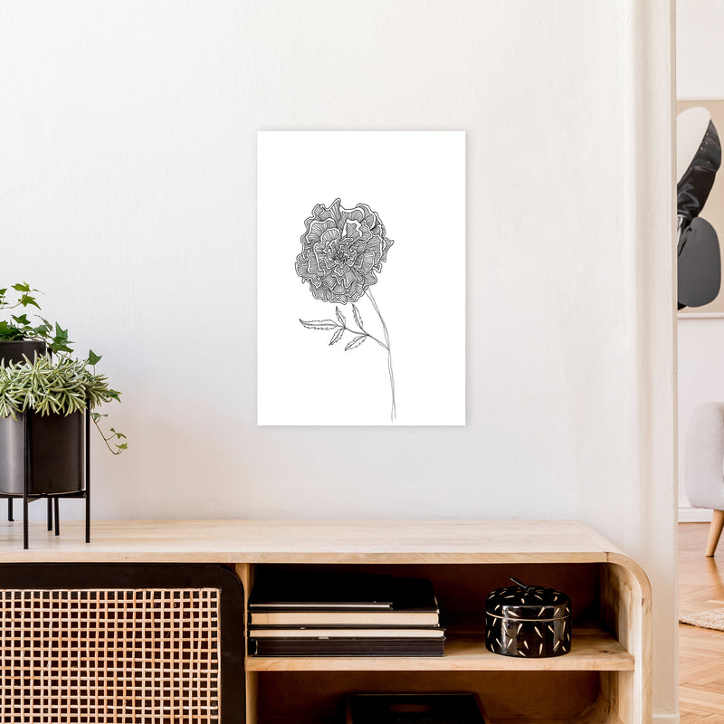 Marigold Art Print by Carissa Tanton A2 Black Frame