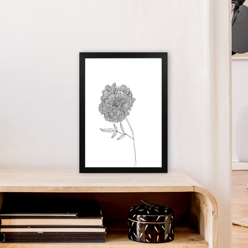 Marigold Art Print by Carissa Tanton A3 White Frame