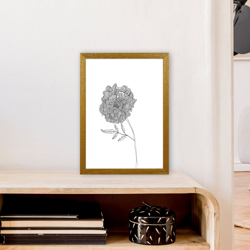 Marigold Art Print by Carissa Tanton A3 Print Only