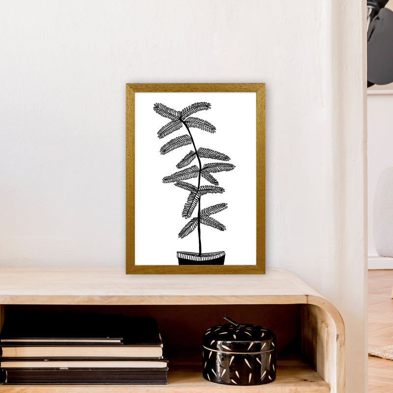Mimosa Art Print by Carissa Tanton A3 Print Only