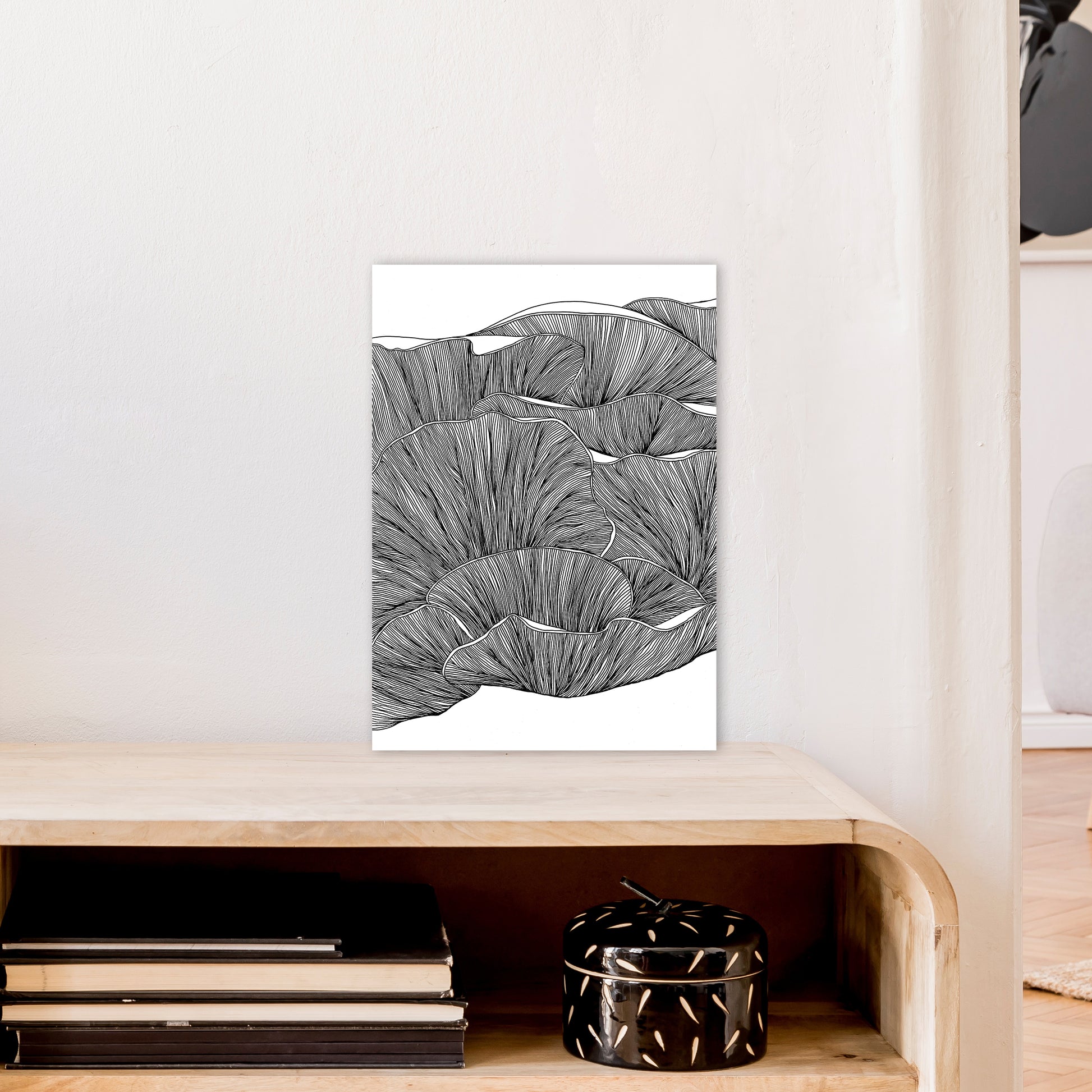 Oyster Mushrooms BW Art Print by Carissa Tanton A3 Black Frame