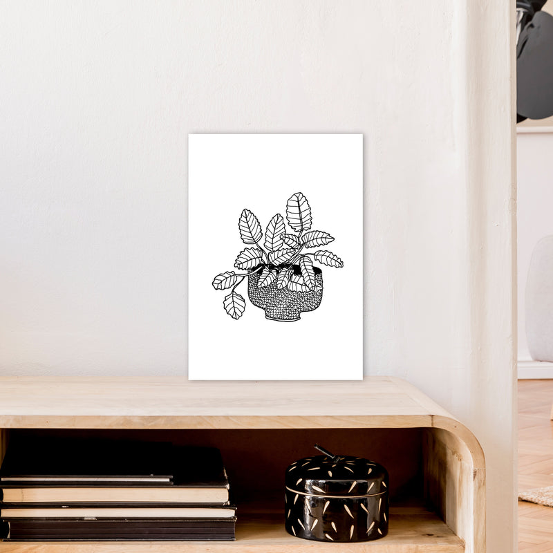 Peppermint Art Print by Carissa Tanton A3 Black Frame